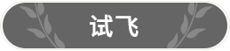 试飞